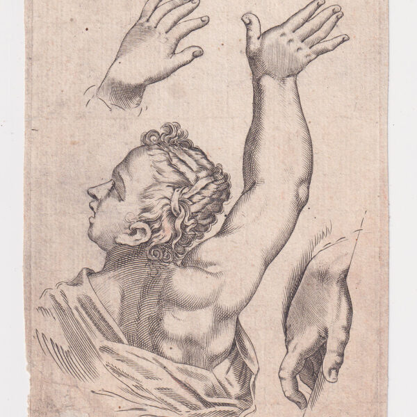 Anonimo, Studi di mani, XVIII sec.