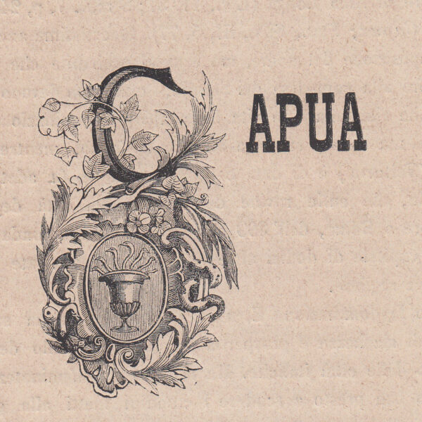 Capua, Stemma, 1871