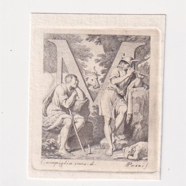 Lettera M, Antonio Pazzi e Domenico Campiglia, XVIII sec.