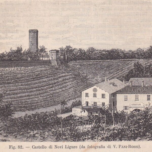 Novi Ligure, Castello, 1890