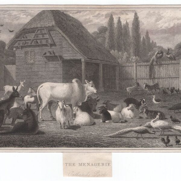 La Fattoria degli animali, 1840