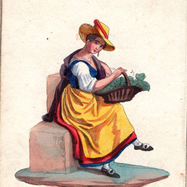 Vignarola, acquarello