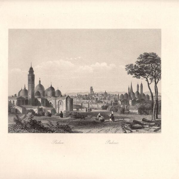 Padova, Panorama, 1850