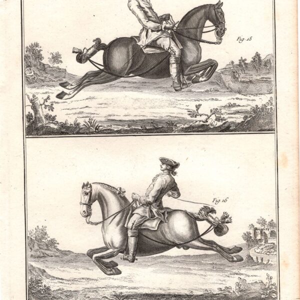 Diderot e D'Alembert, 1778, Equitazione, cavallo, la capriole