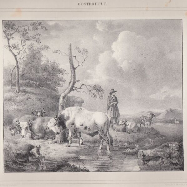 Pascolo, Oosterhout, 1845