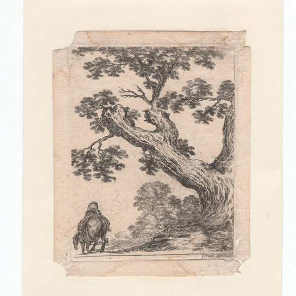 Stefano Della Bella, Paesaggio con albero