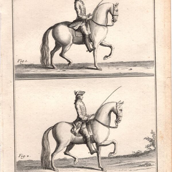 Diderot e D'Alembert, 1778, Equitazione, il passo ed il trotto, cavallo