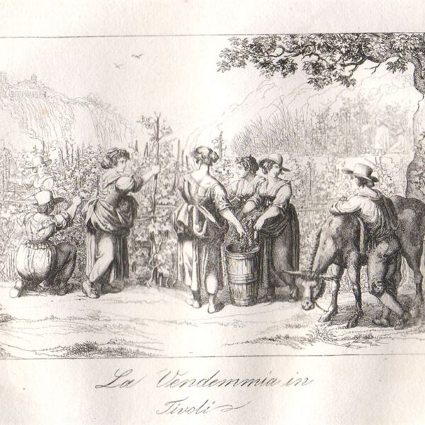 La Vendemmia in Tivoli, Pinelli, 1840