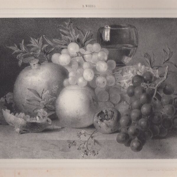 Natura morta, A. Weiss, 1845