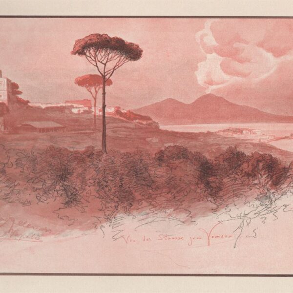 Wilhelm Allers, Napoli dal Vomero, 1890