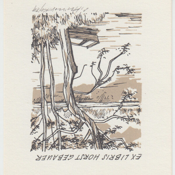 Horst Gebauer (Germania)