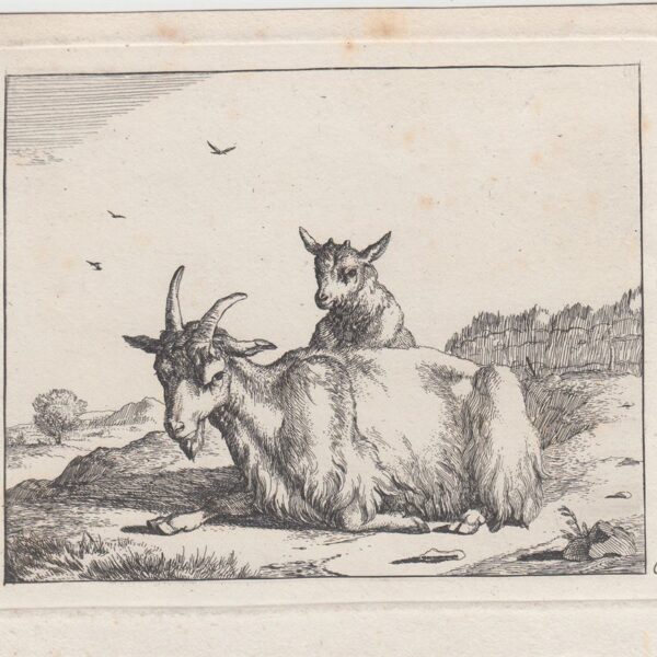 Nicolaes Berchem  Animalia, Capre