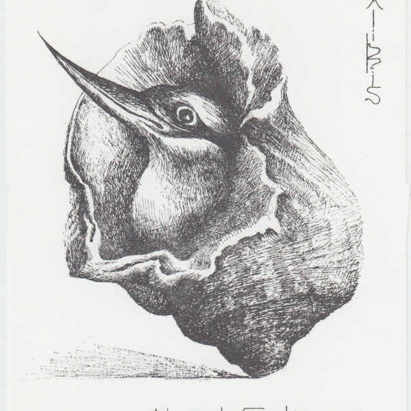 Horst Gebauer (Germania)