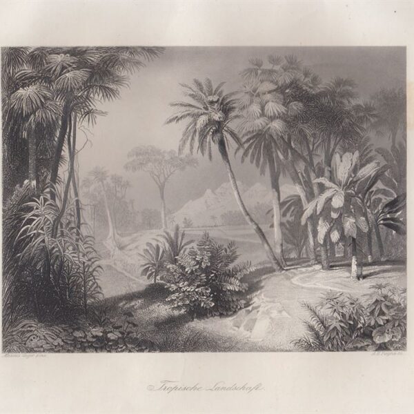Paesaggio tropicale, A.H.Payne, 1840-50