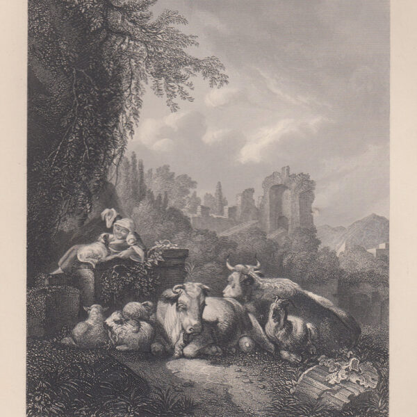 Bestiame, H.Roos, 1840-50