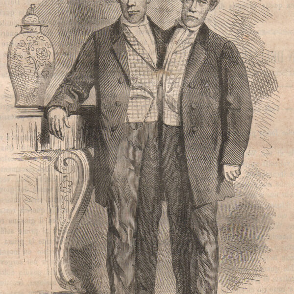 I Fratelli Siamesi, 1868