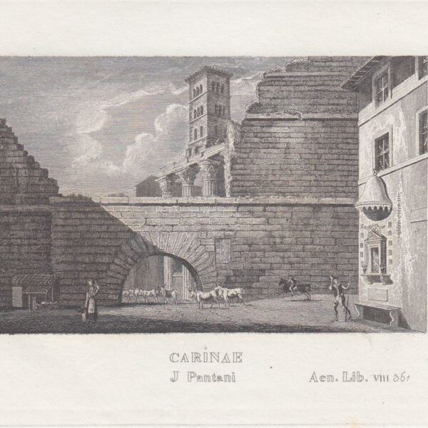 Carinae, I Pantani, C.Frommel, 1829