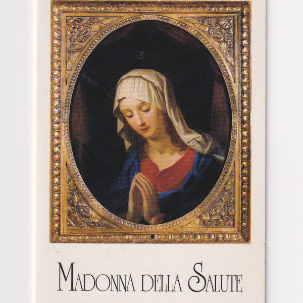 Madonna della Salute, Santino del XX sec.