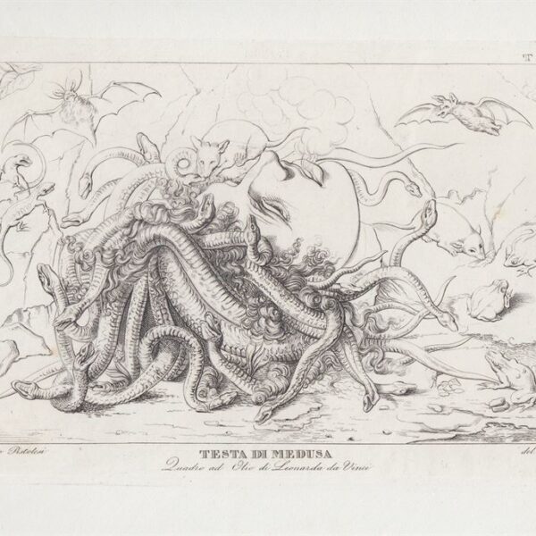 Saverio Pistolesi, Testa di Medusa 1850