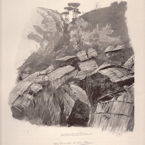 Wilhelm Allers, Massa, 1890