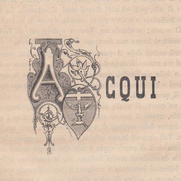 Acqui, Stemma, 1871