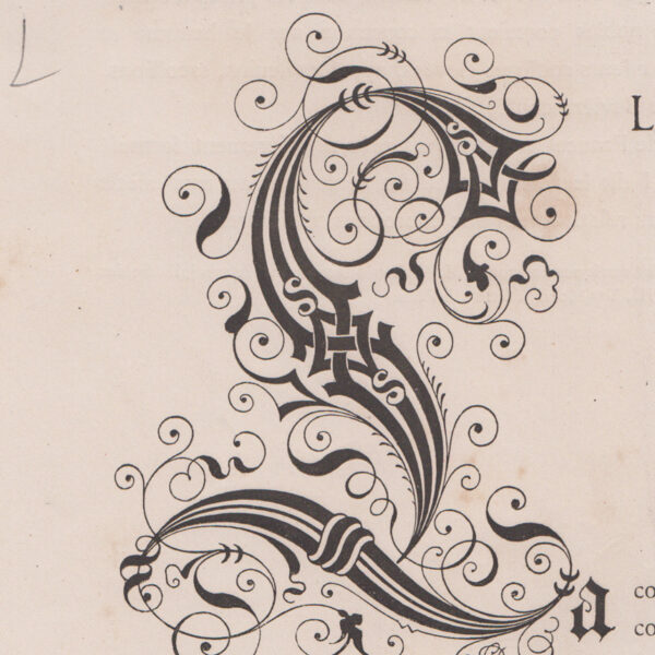 Monogramma, Lettera L, 1882