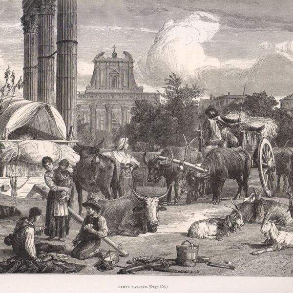 Roma, Campo Vaccino, 1877