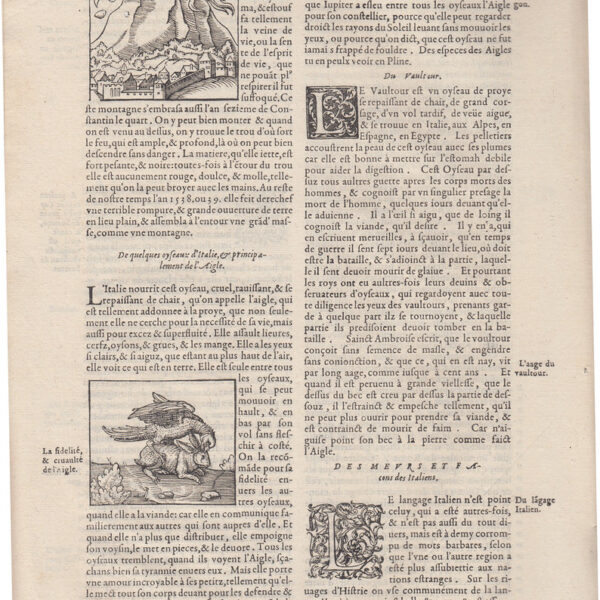 1575 Cosmografia Universale, Napoli, Vesuvio