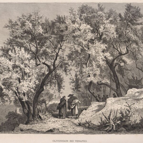 Venafro, Isernia, 1877