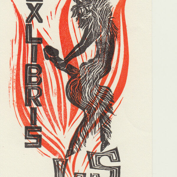 Aulitzky Erich (Germania)