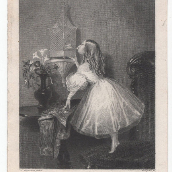 Piccola incisione del XVIII-XIX s