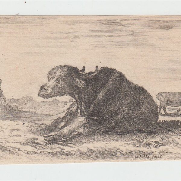 Stefano Della Bella - Dalla serie Diversi Animali