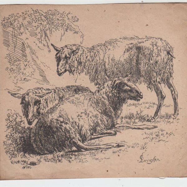 Nicolaes  Berchem Animalia, Capre