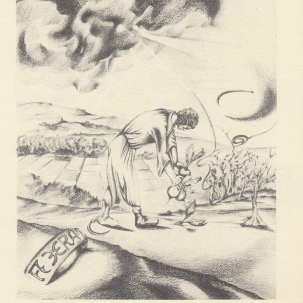 Marraccini Andrea exlibris