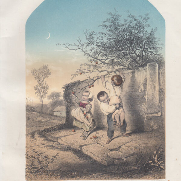 La raccolta proibita, A.H.Payne, 1840-50