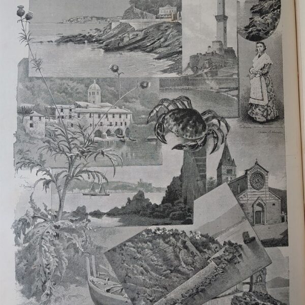 Riviera Ligure di Levante, 1884