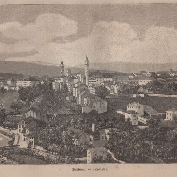 Belluno, Panorama, 1890