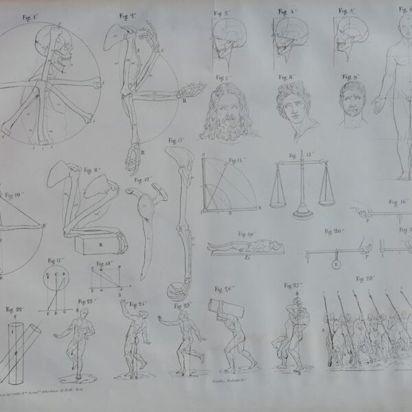 F.Bertinatti, Anatomia per il disegno, 1839