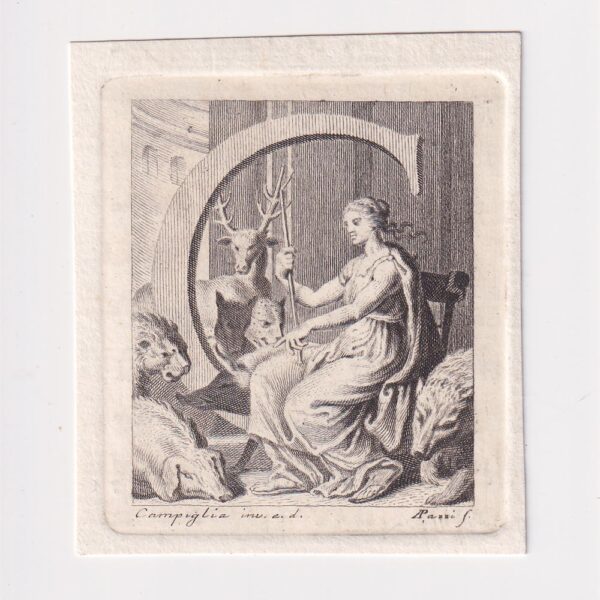 Lettera C, Antonio Pazzi e Domenico Campiglia, XVIII sec.