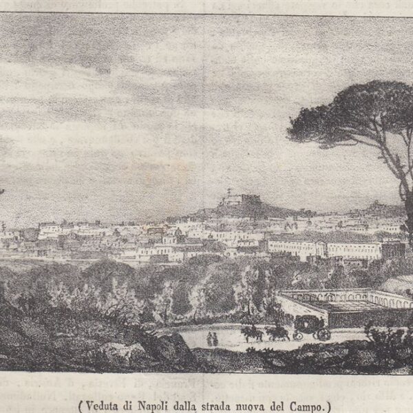 Veduta di Napoli, 1838
