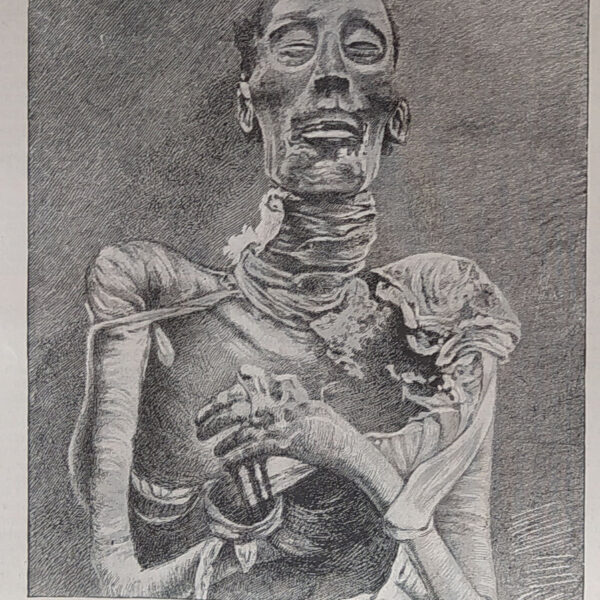​La Mummia di Ramsete II, 1886