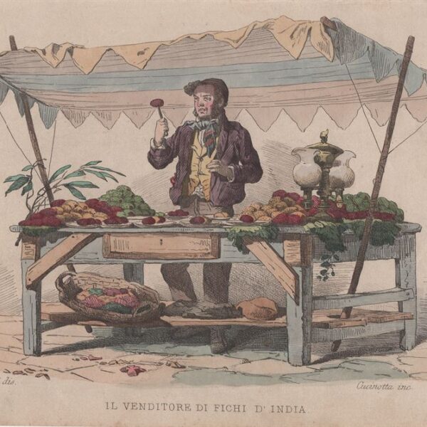 Il venditore di fichi d'india, P.Mattei, 1853