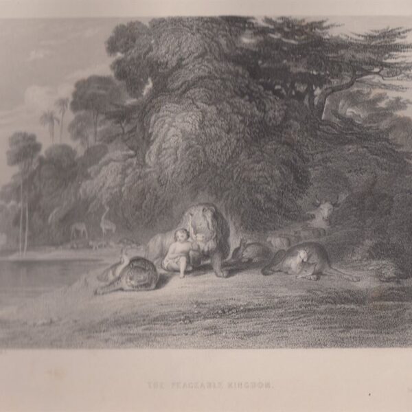 Il Regno pacifico, J.Martin, 1846