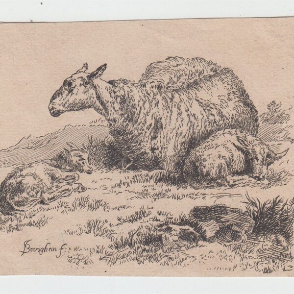 Nicolaes Berchem Animalia, Pecore