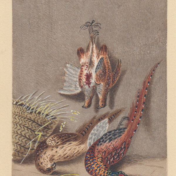 Cacciagione, fagiani, acquarello, XIX secolo