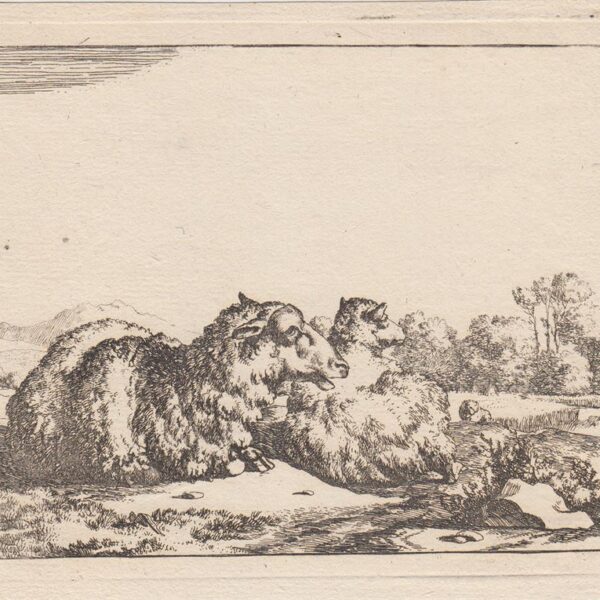 Nicolaes Berchem, Animalia, Pecore