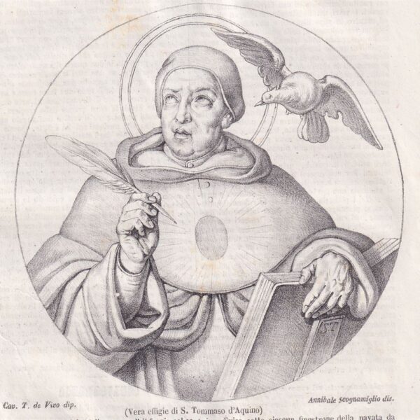 S.Tommaso d'Aquino, 1854
