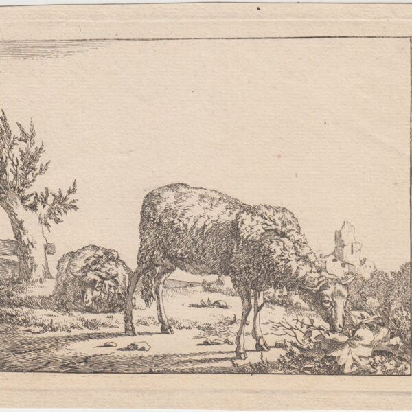 Nicolaes Berchem Animalia, Pecore