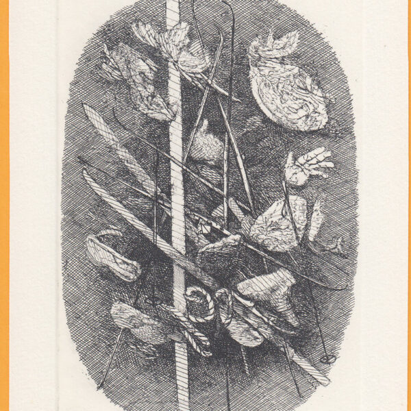 Calisto Gritti exlibris