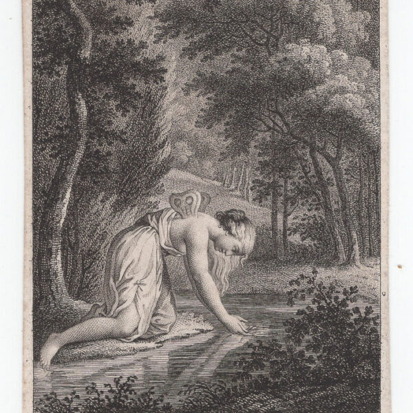 Piccola incisione del XVIII-XIX s